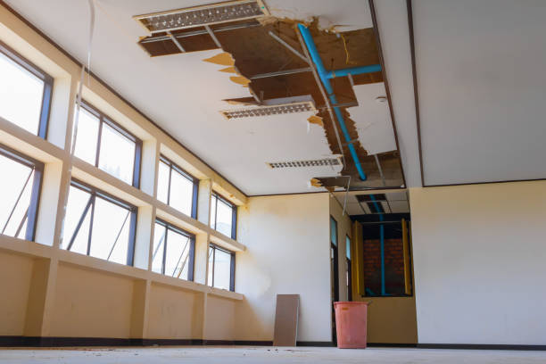 Professional Water damage restoration in Tsaile, AZ