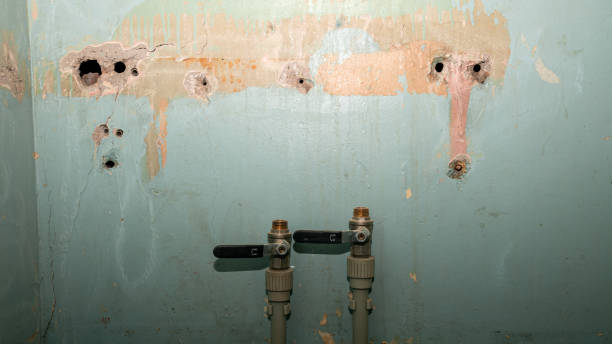 Reliable Tsaile, AZ Water damage restoration Solutions