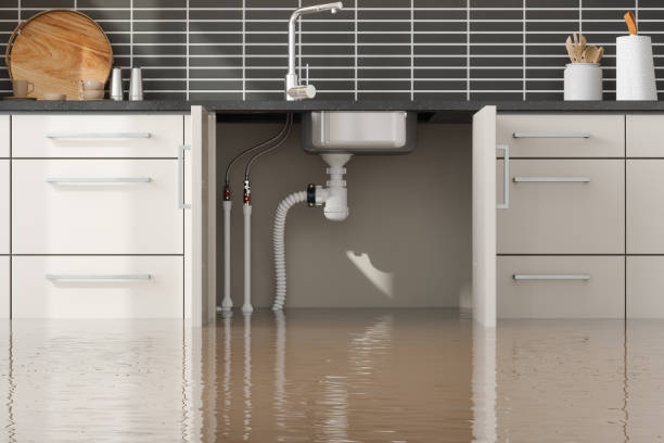 Best Water damage restoration near me  in Tsaile, AZ