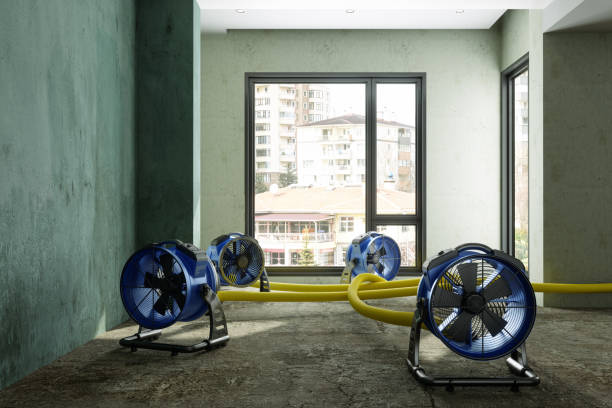 Water damage restoration mold remediation in Tsaile, AZ